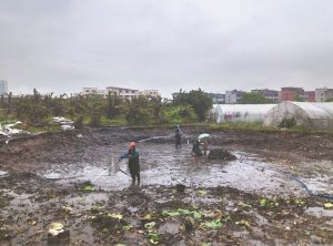 乐山河道鱼塘清淤